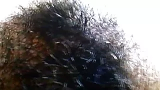 아름다운 러시아 소녀에 의해 엿 사람을 준비하는 두여자와 한남자